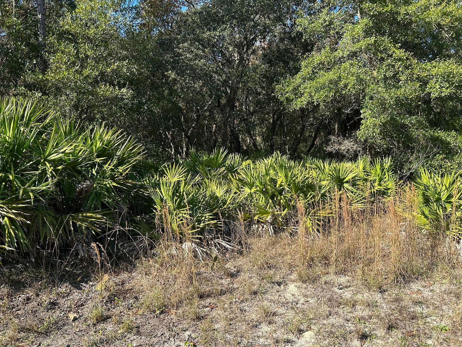 632 N Dunkenfield Avenue, Crystal River, FL 34429 photo 2