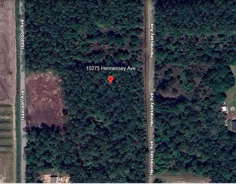 10275 Hennessey Avenue, Hastings, FL 32145 photo 2