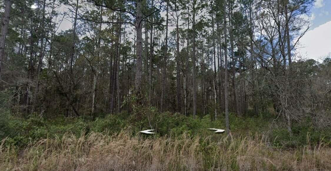 10275 Hennessey Avenue, Hastings, FL 32145 photo 3