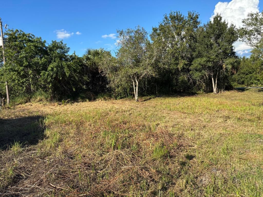 2897 NW 32nd Avenue, Okeechobee, FL 34972 photo 2