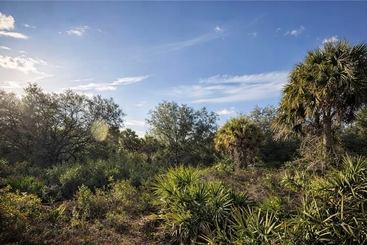 0 NW 294th, Okeechobee, FL 34974 photo 3