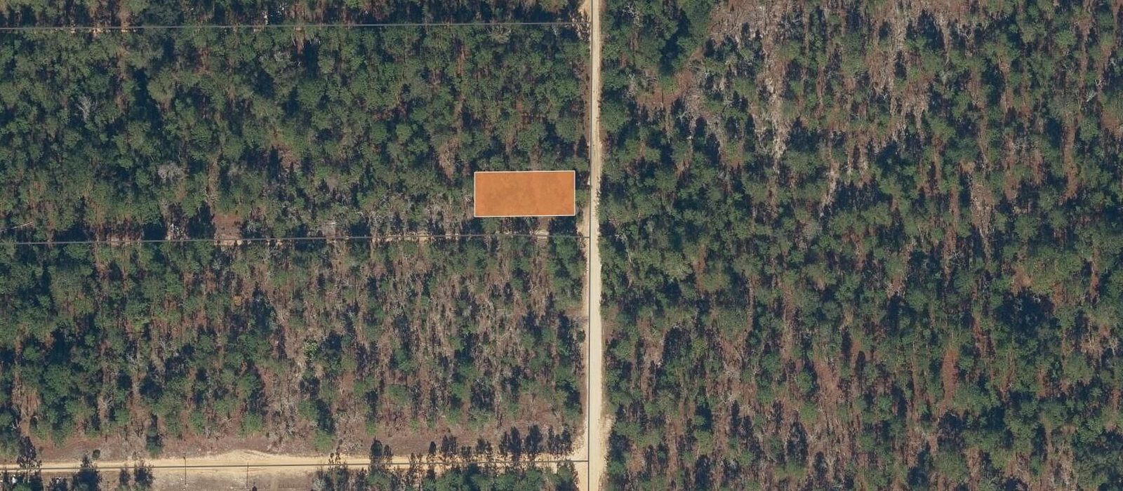 175 Park Avenue, Interlachen, FL 32148