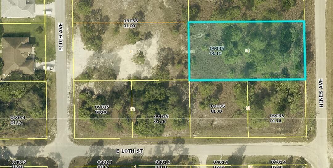 1003 Hines Avenue, Alva, FL 33920 photo 3