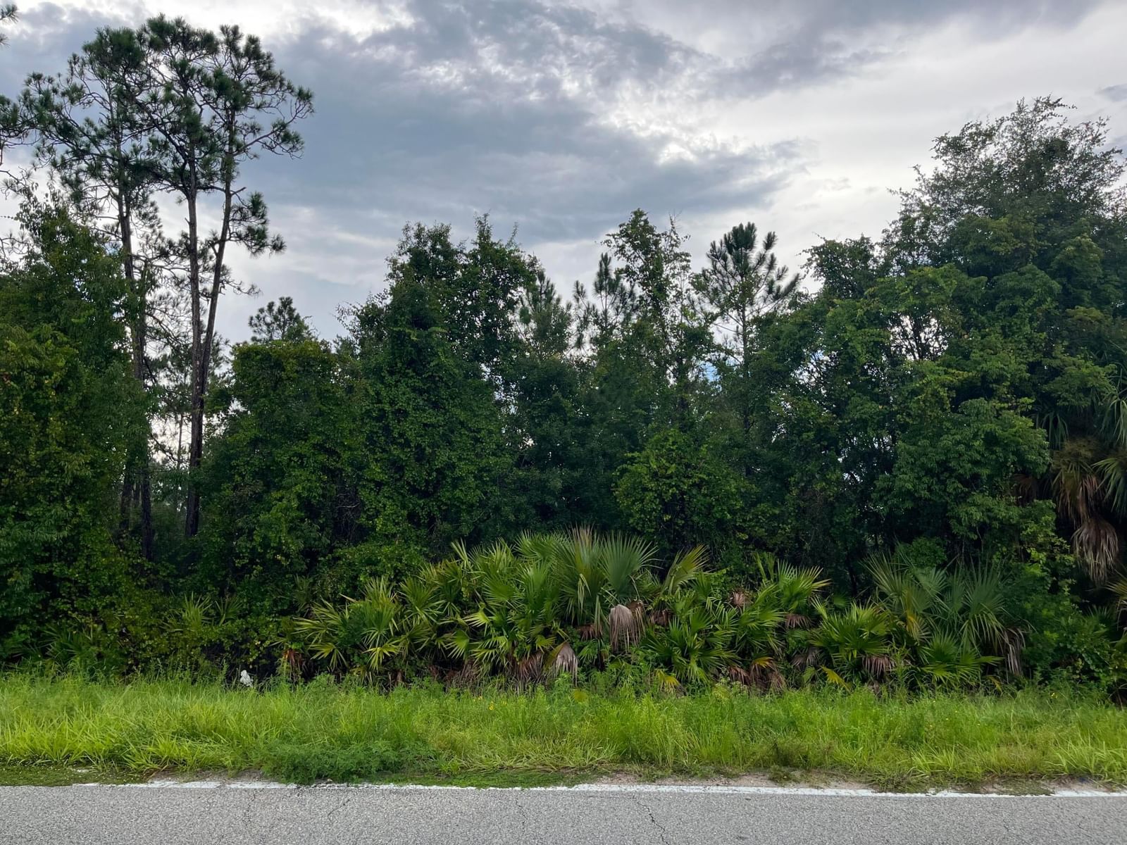 6883 St Johns Avenue, Palatka, FL 32177 photo 4