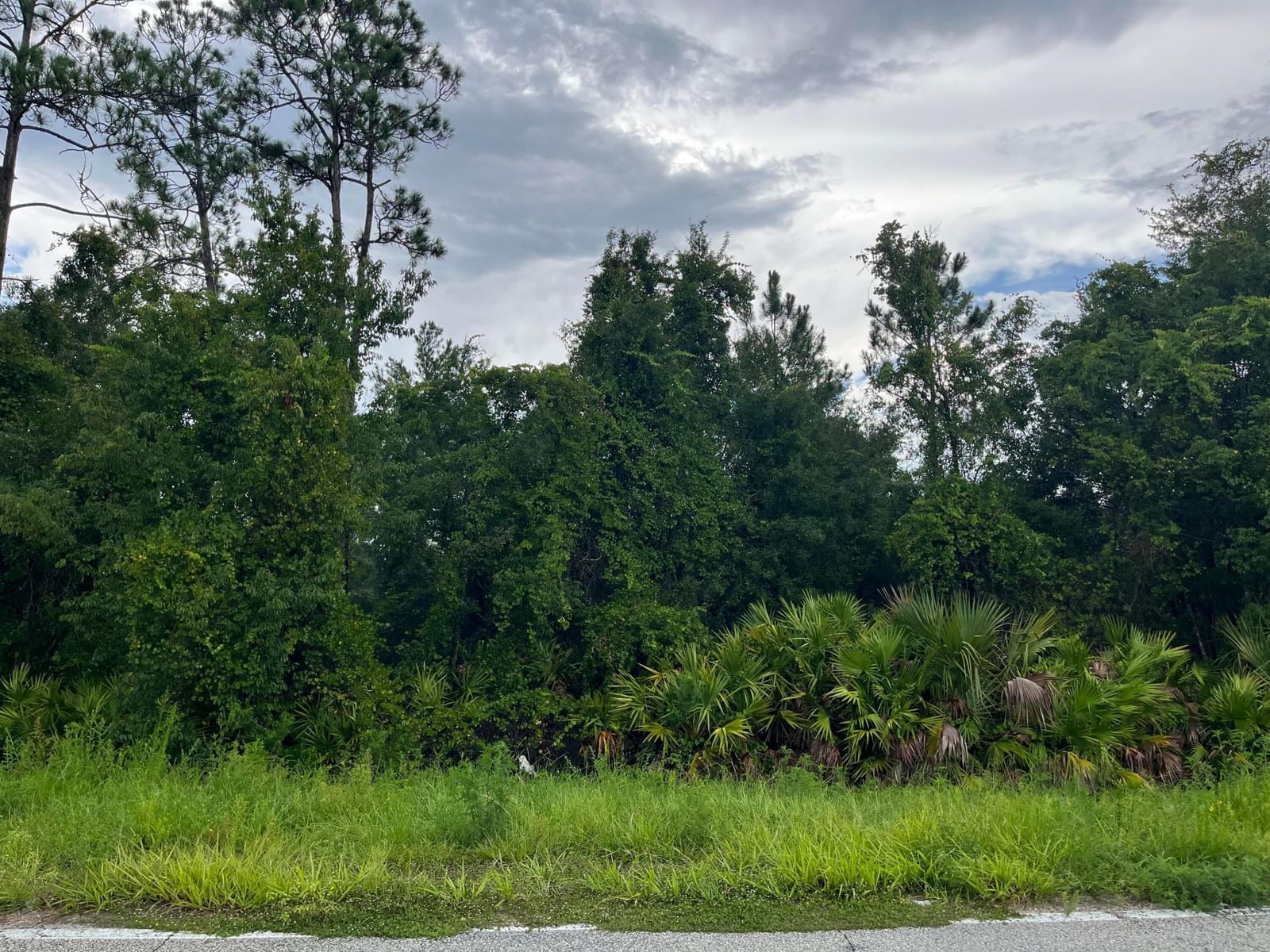 6883 St Johns Avenue, Palatka, FL 32177 photo 2