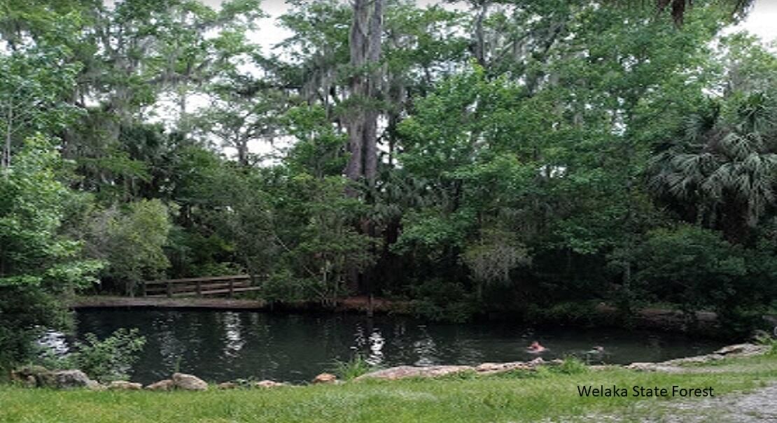208 Garrison Avenue, Georgetown, FL 32139 photo 3