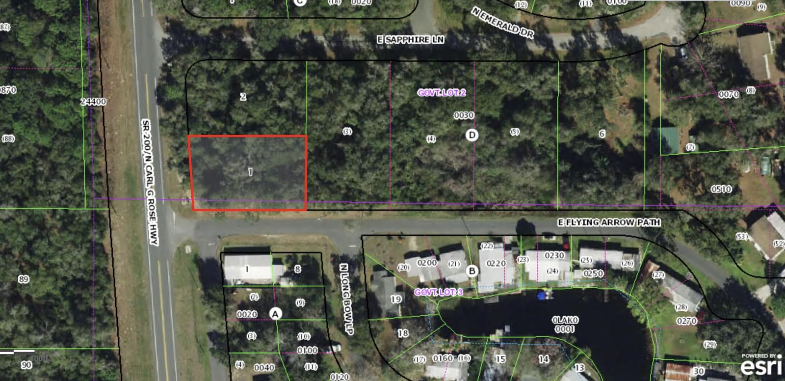 4955 N Carl G Rose Highway, Hernando, FL 34442 photo 2