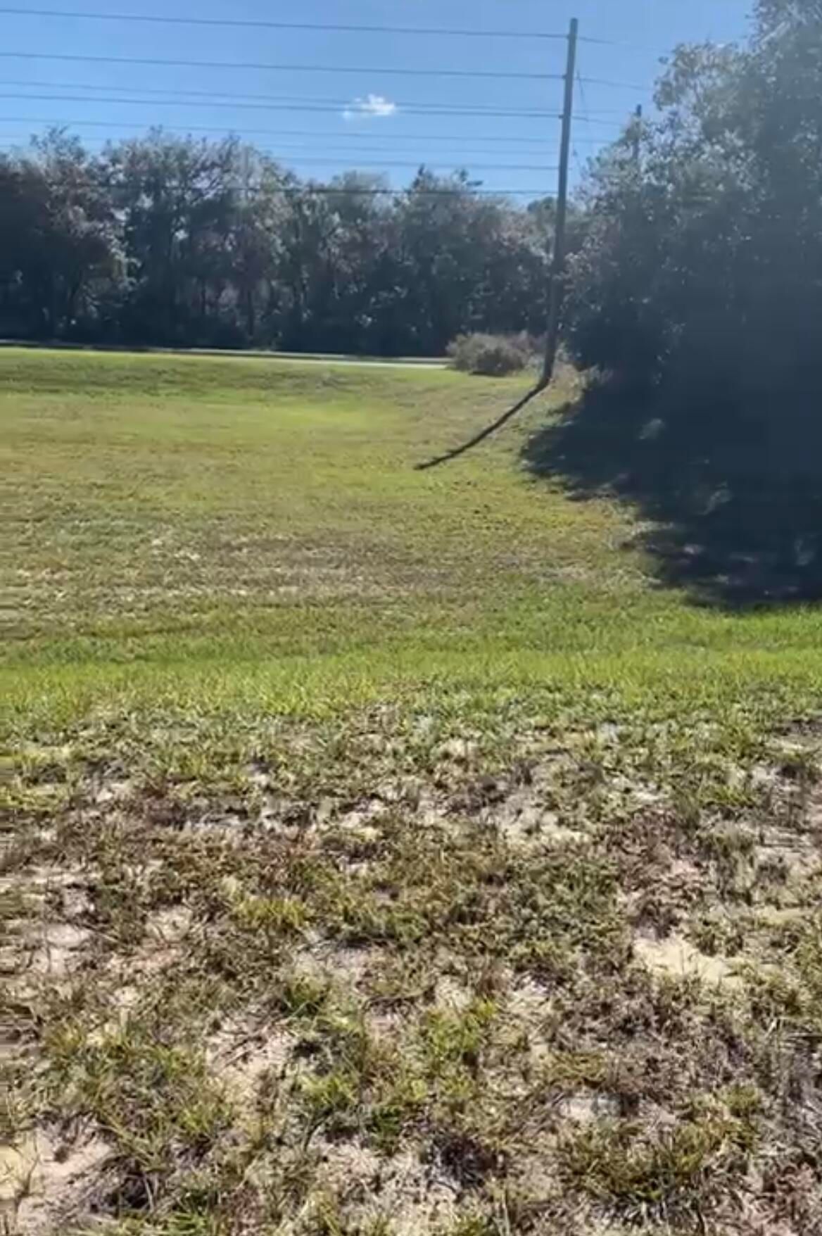 4017 SW 133rd Loop, Ocala, FL 34473 photo 2