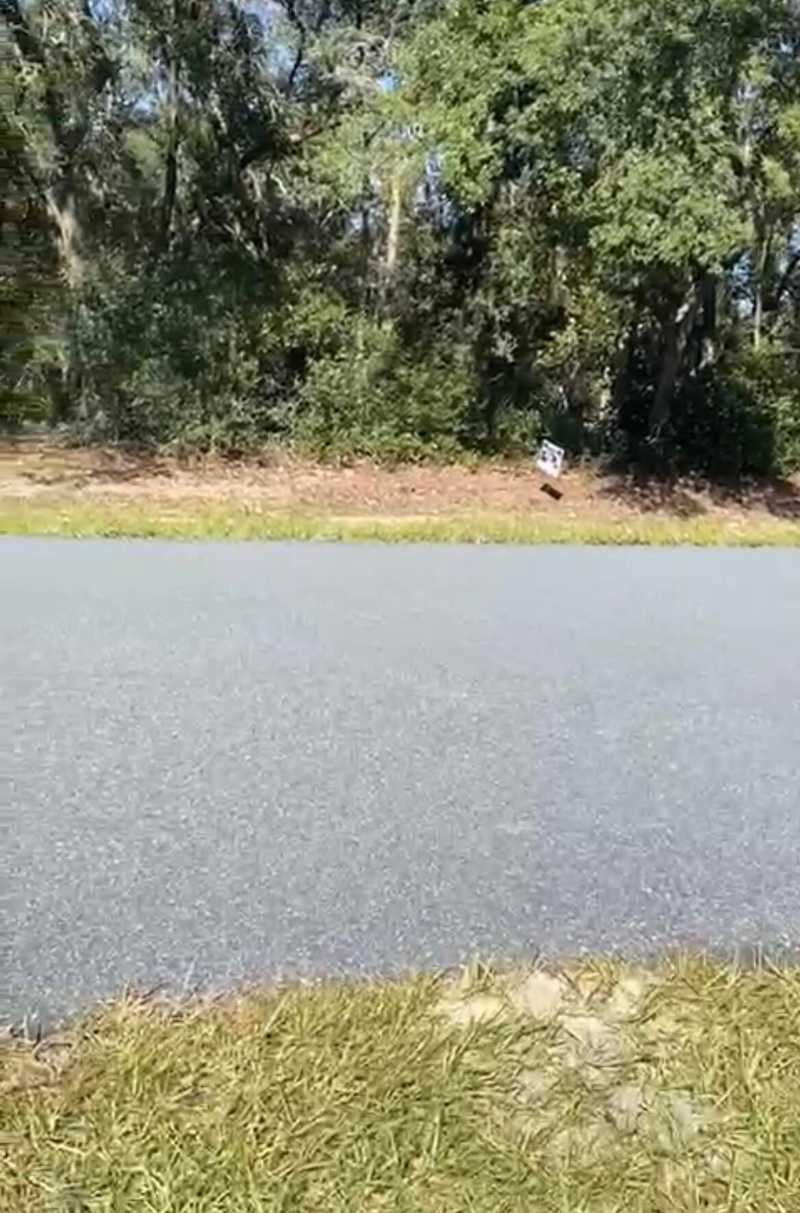 4017 SW 133rd Loop, Ocala, FL 34473 photo 3