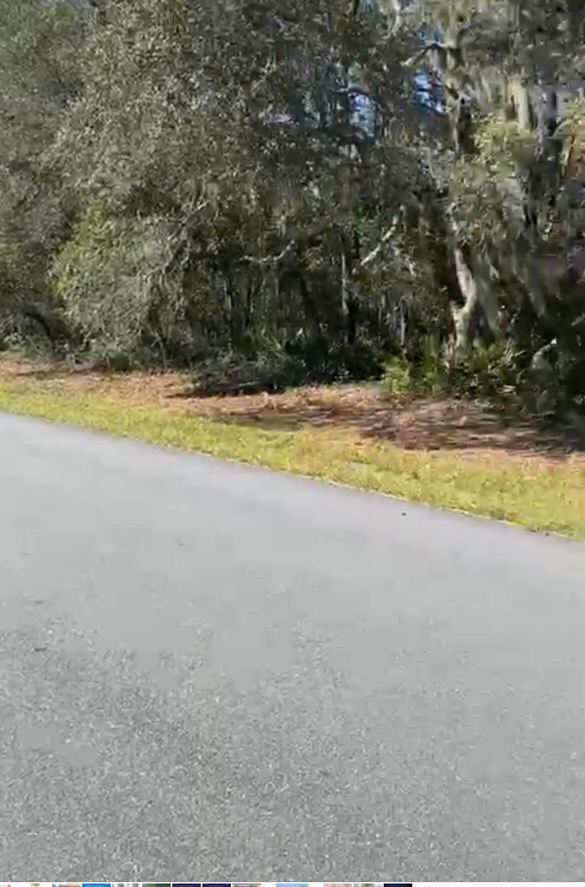 4017 SW 133rd Loop, Ocala, FL 34473 photo 4