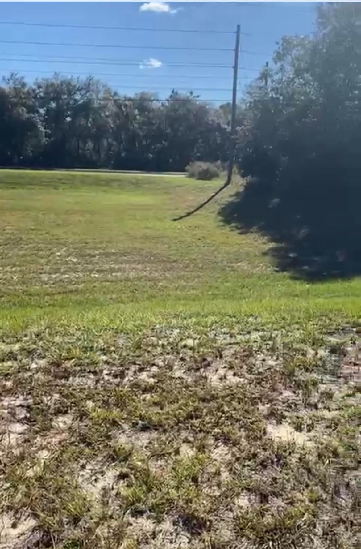 4017 SW 133rd Loop, Ocala, FL 34473 photo 5