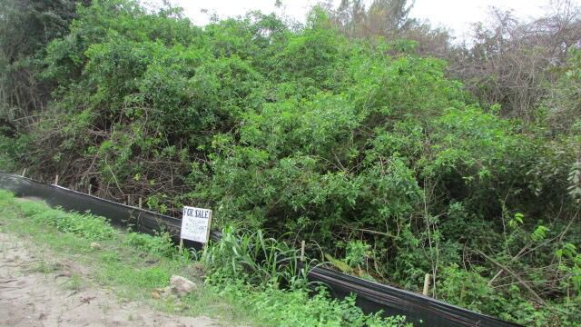 16750 SW Conners Highway, Okeechobee, FL 34974 photo 2
