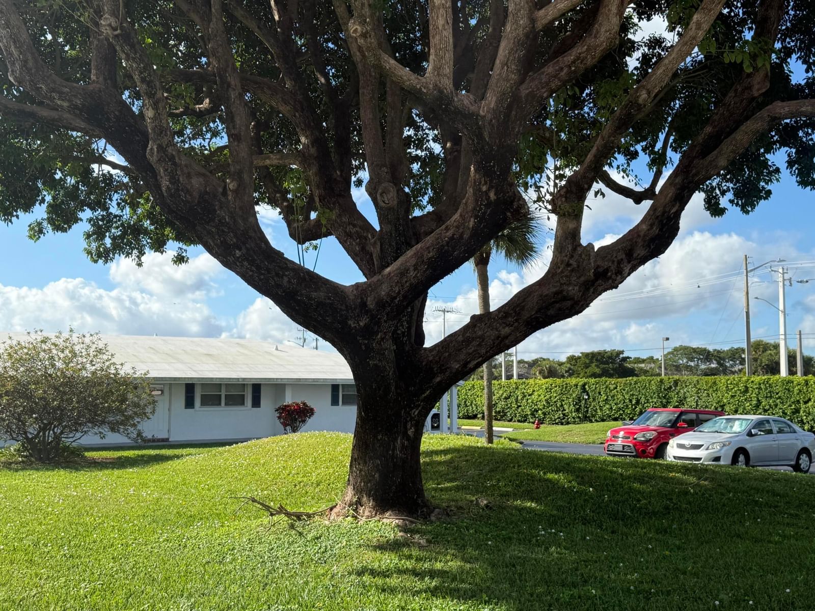 300 SW Golfview Terrace #152, Boynton Beach, FL 33426 photo 2