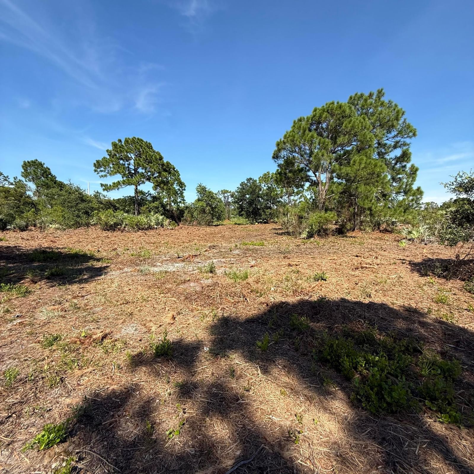 7805 21st Street SW, Vero Beach, FL 32968 photo 4