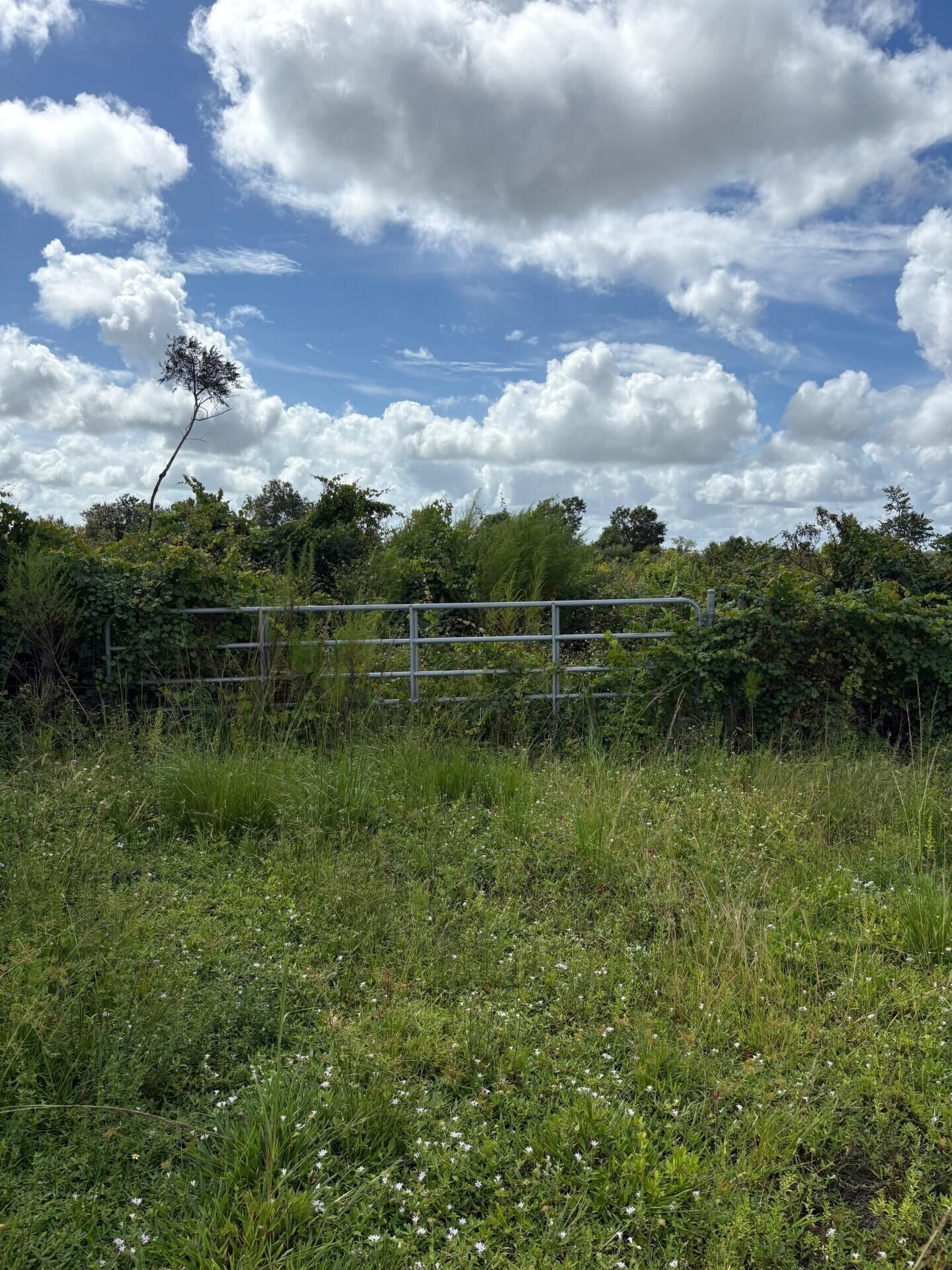16426 NW 262nd Street, Okeechobee, FL 34972