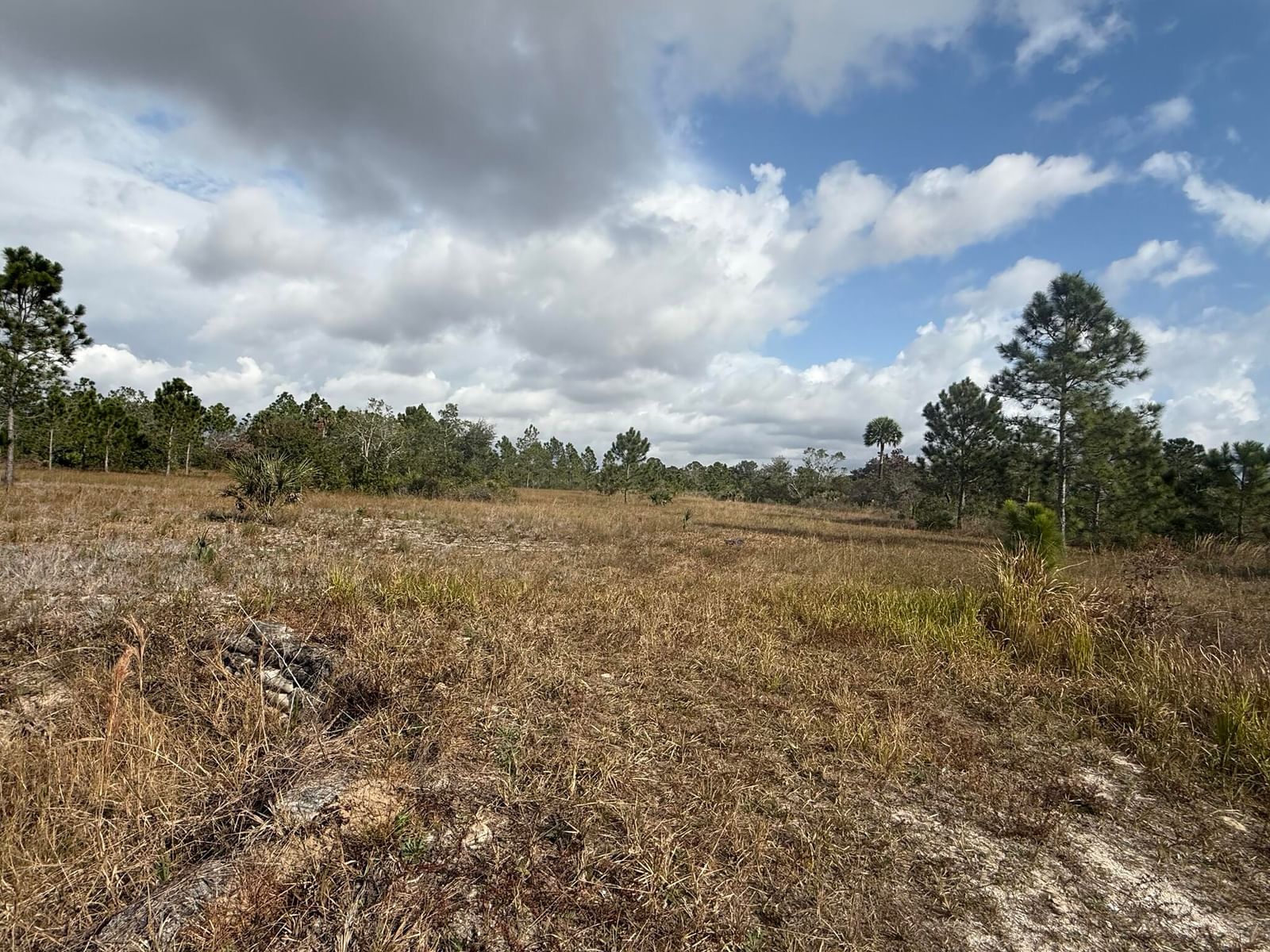 16375 NW 314th Street, Okeechobee, FL 34972 photo 3