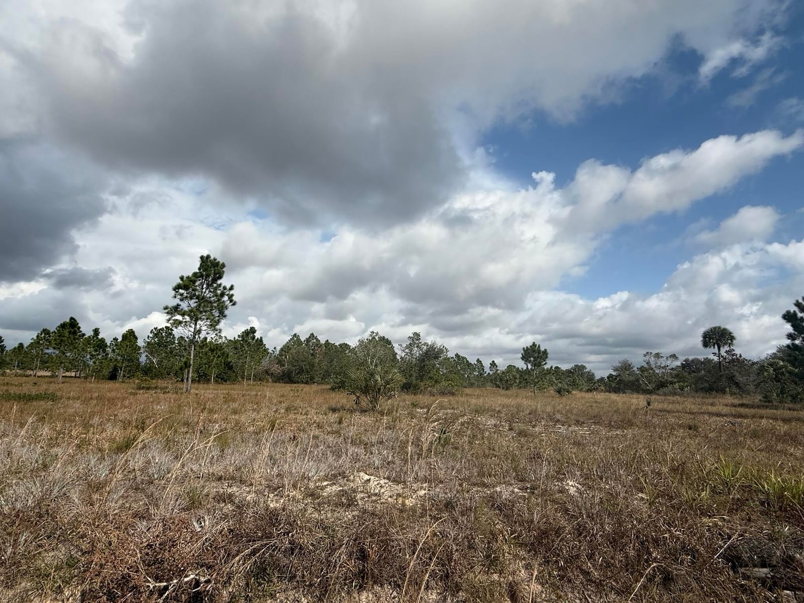 16375 NW 314th Street, Okeechobee, FL 34972 photo 4