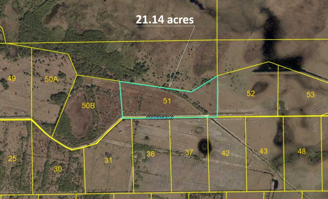 Lot 51 Cabbage Lane, Okeechobee, FL 34974 photo 4