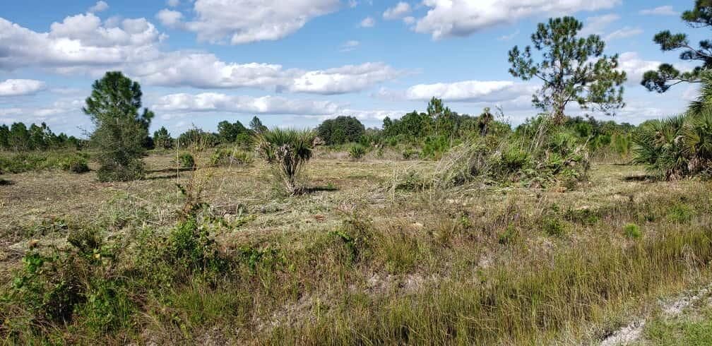 16963 NW 292nd Street, Okeechobee, FL 34972 photo 2