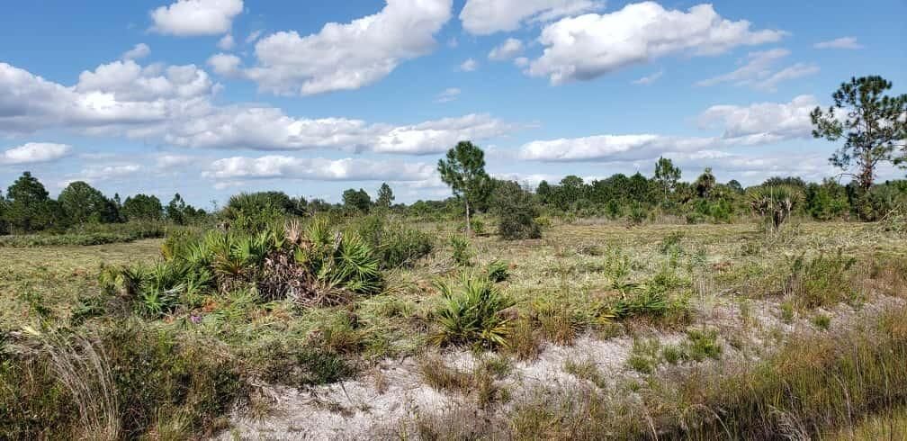 16963 NW 292nd Street, Okeechobee, FL 34972 photo 3