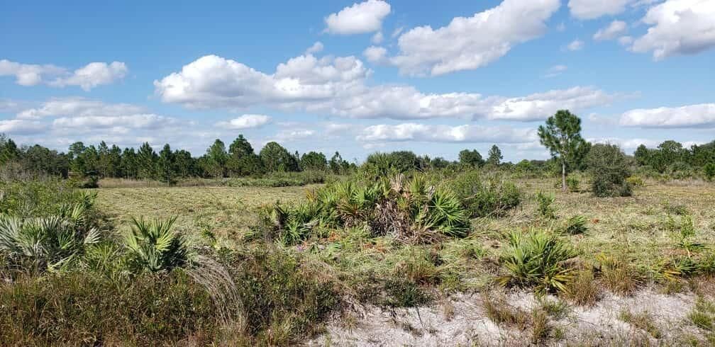 16963 NW 292nd Street, Okeechobee, FL 34972 photo 4
