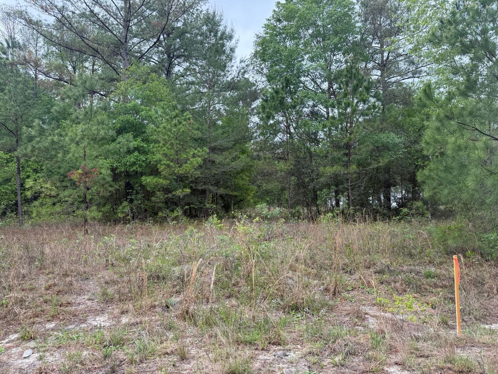 Tbd Maltas Avenue, Interlachen, FL 32148