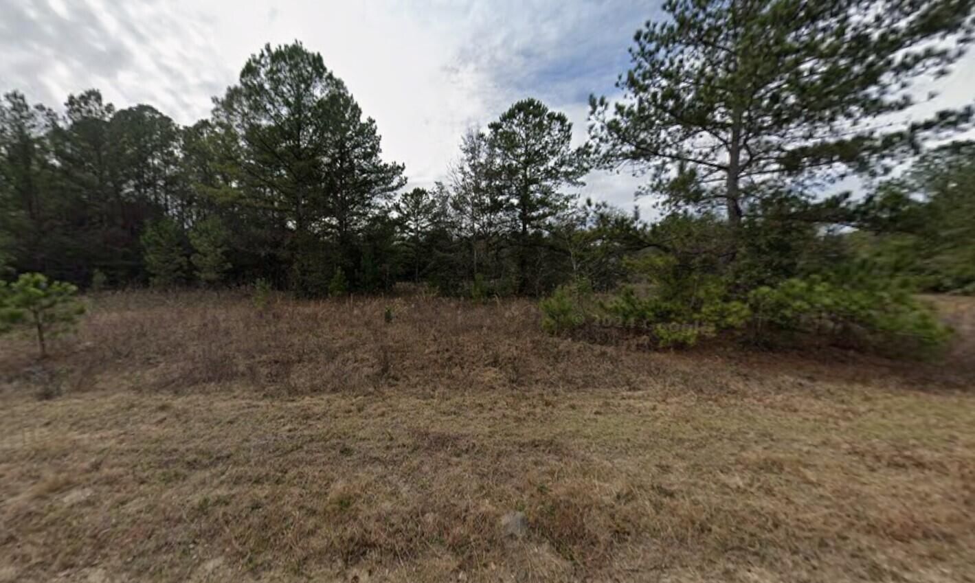Tbd Maltas Avenue, Interlachen, FL 32148 photo 4