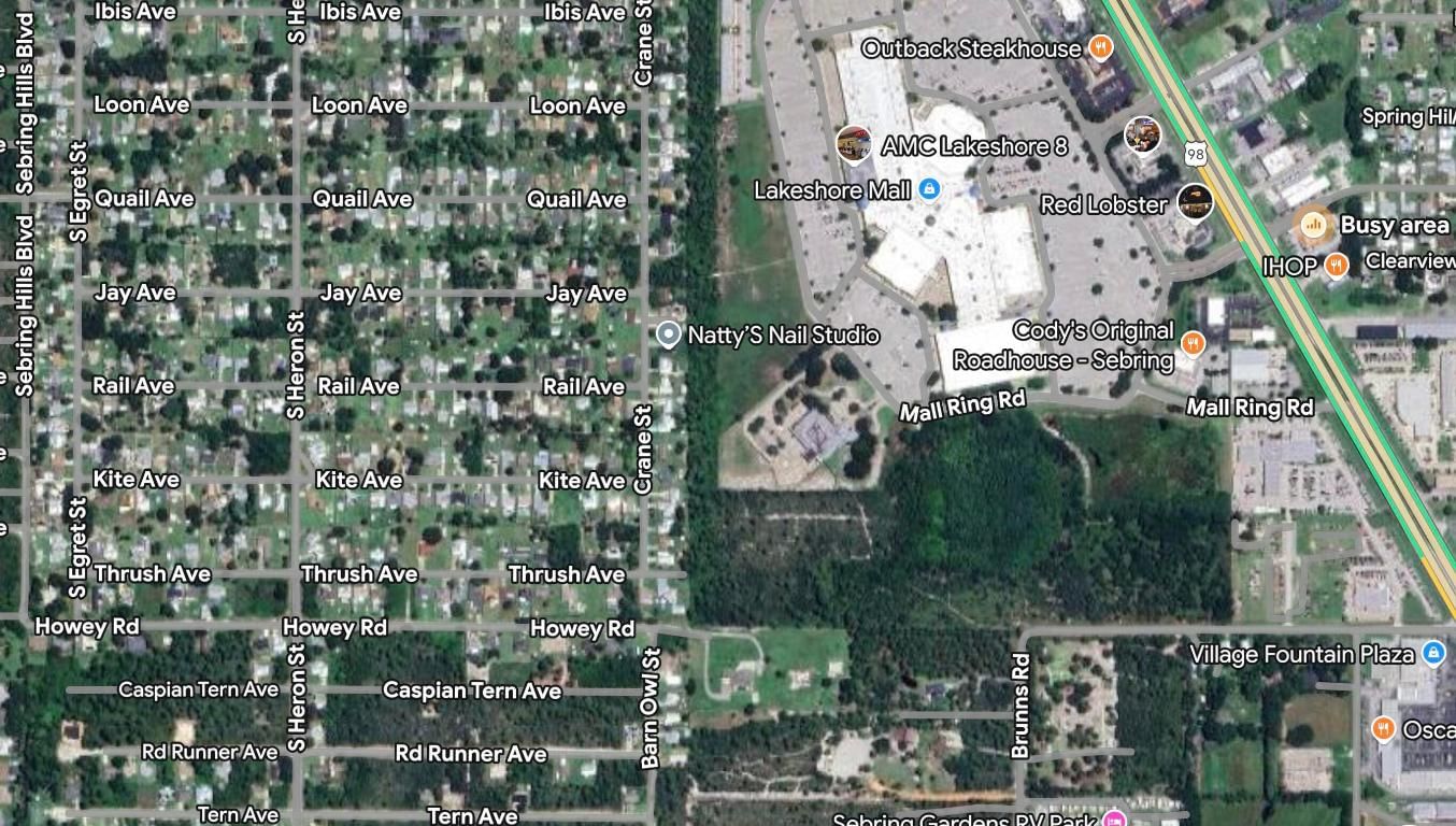 215 Roadrunner Avenue, Sebring, FL 33870 photo 2