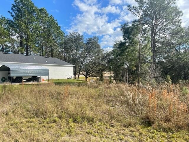 000 Malauka Cir Circle, Ocklawaha, FL 32179 photo 3