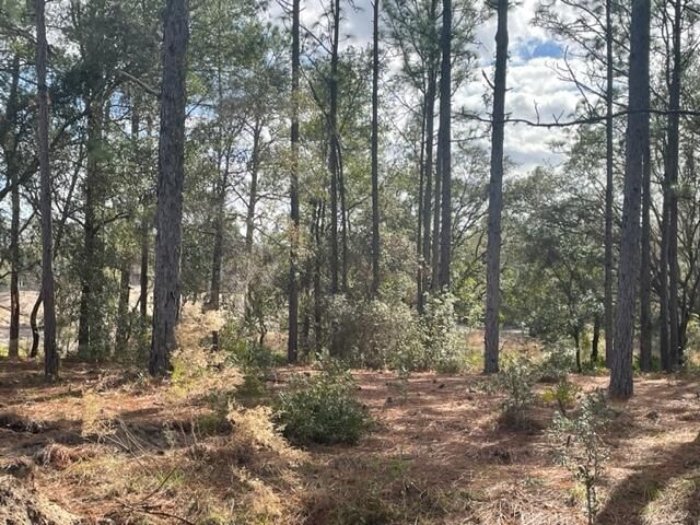 000 Malauka Cir Circle, Ocklawaha, FL 32179 photo 5
