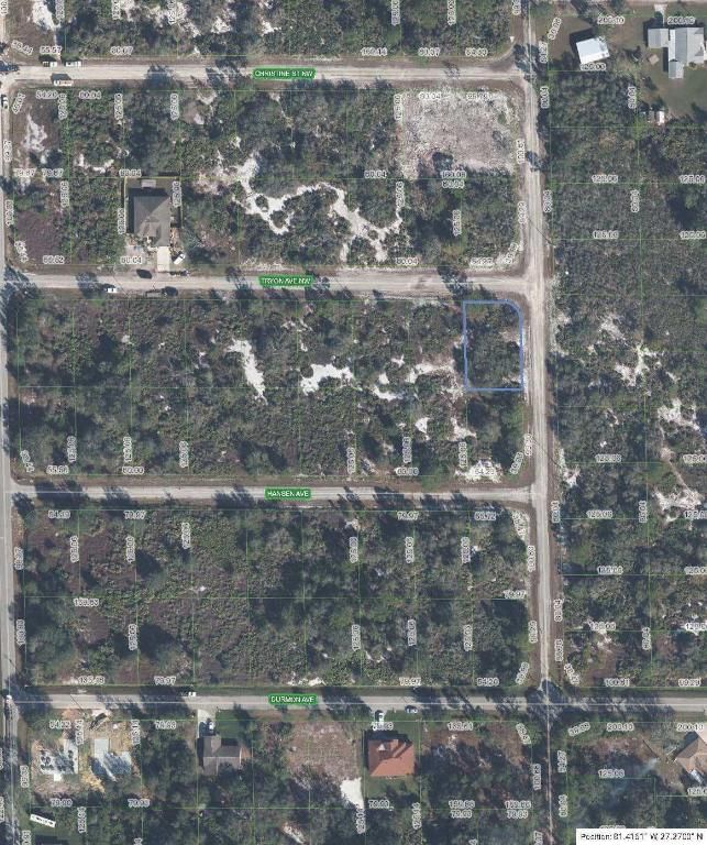 100 Tryon Avenue NW, Lake Placid, FL 33852 photo 2