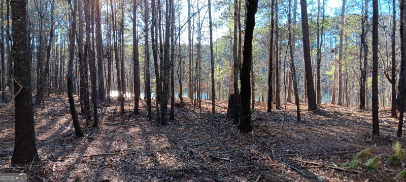 Photo 12 of TRACT C Sweetbriar Lane