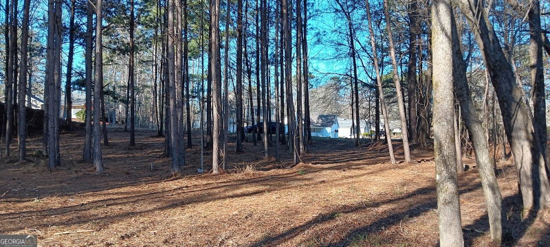 Photo 13 of TRACT C Sweetbriar Lane