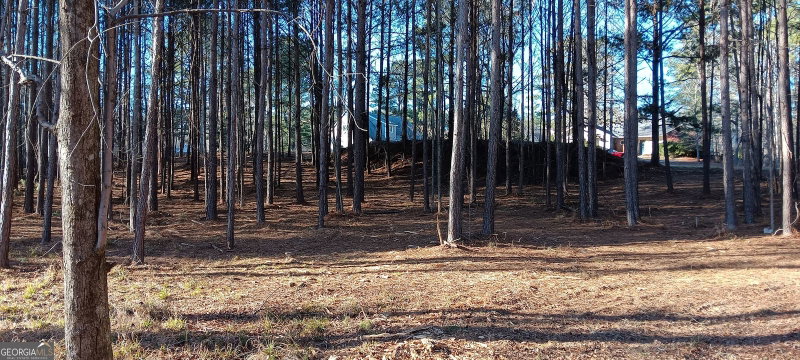 Photo 14 of TRACT C Sweetbriar Lane