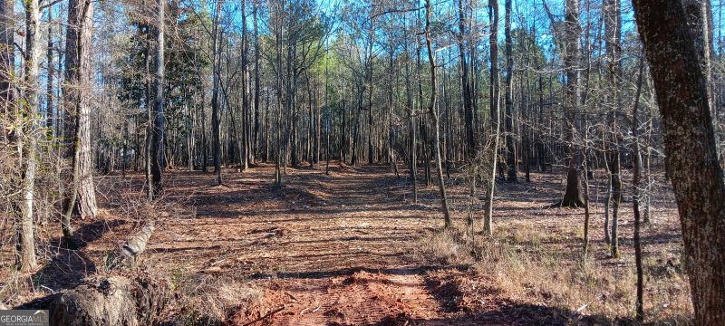 Photo 5 of TRACT C Sweetbriar Lane