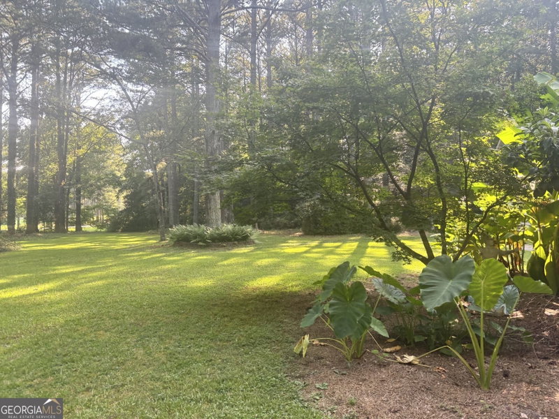 Photo 2 of 230 White Road