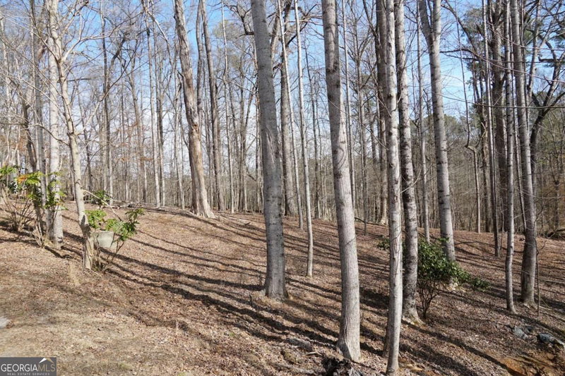 Photo 6 of 0 Hawk Run
