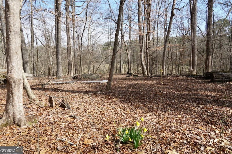 Photo 9 of 0 Hawk Run