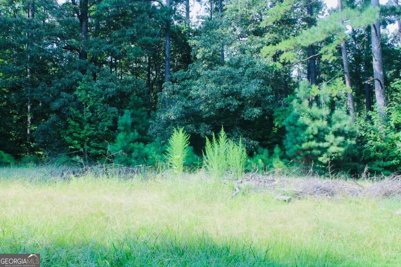 Photo 14 of 4460 STONEWALL TELL Road