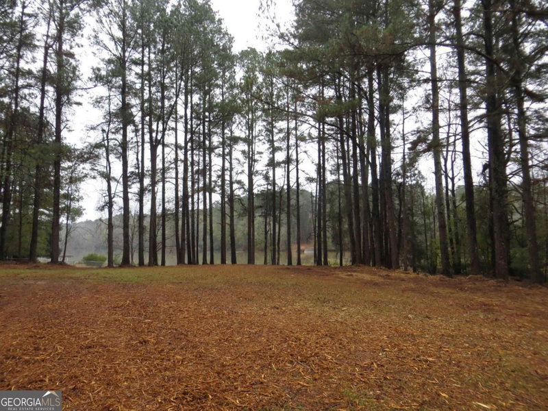 Photo 3 of LOT 10 Sugar Creek Trail #LOT 10