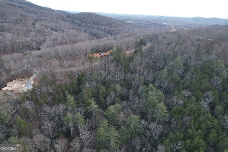 Photo 16 of 0 South Laceola Road #LOT 119