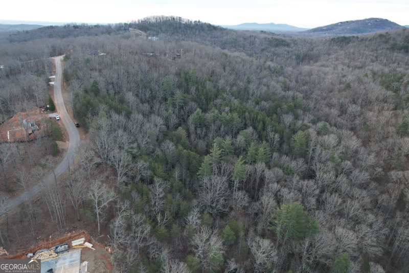 Photo 17 of 0 South Laceola Road #LOT 119