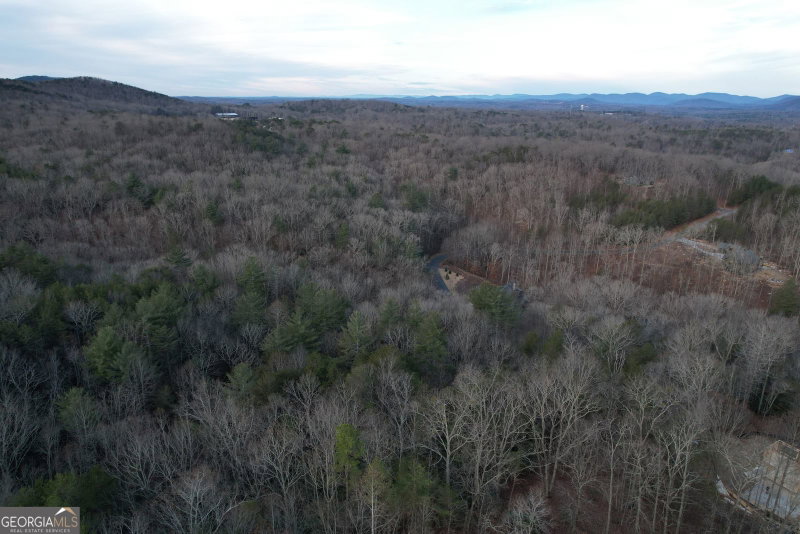 Photo 18 of 0 South Laceola Road #LOT 119