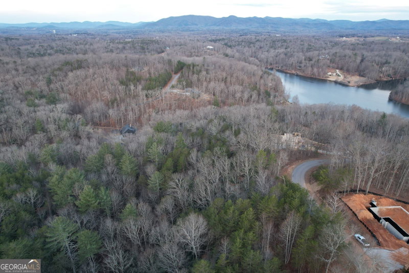 Photo 3 of 0 South Laceola Road #LOT 119