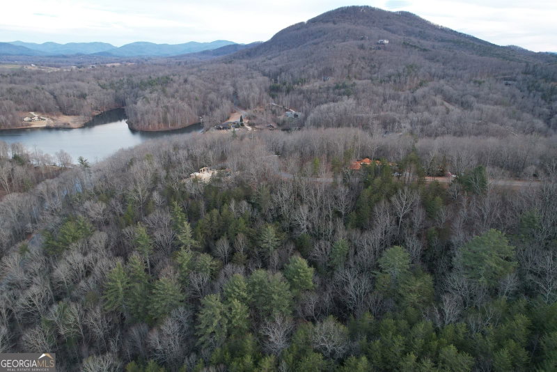 Photo 4 of 0 South Laceola Road #LOT 119