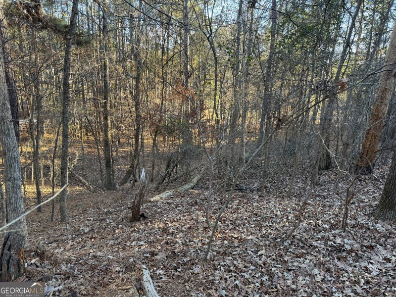 Photo 9 of 1421 Pullman Lane