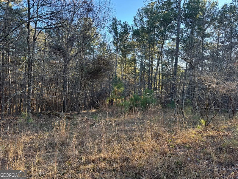 Photo 10 of 1421 Pullman Lane