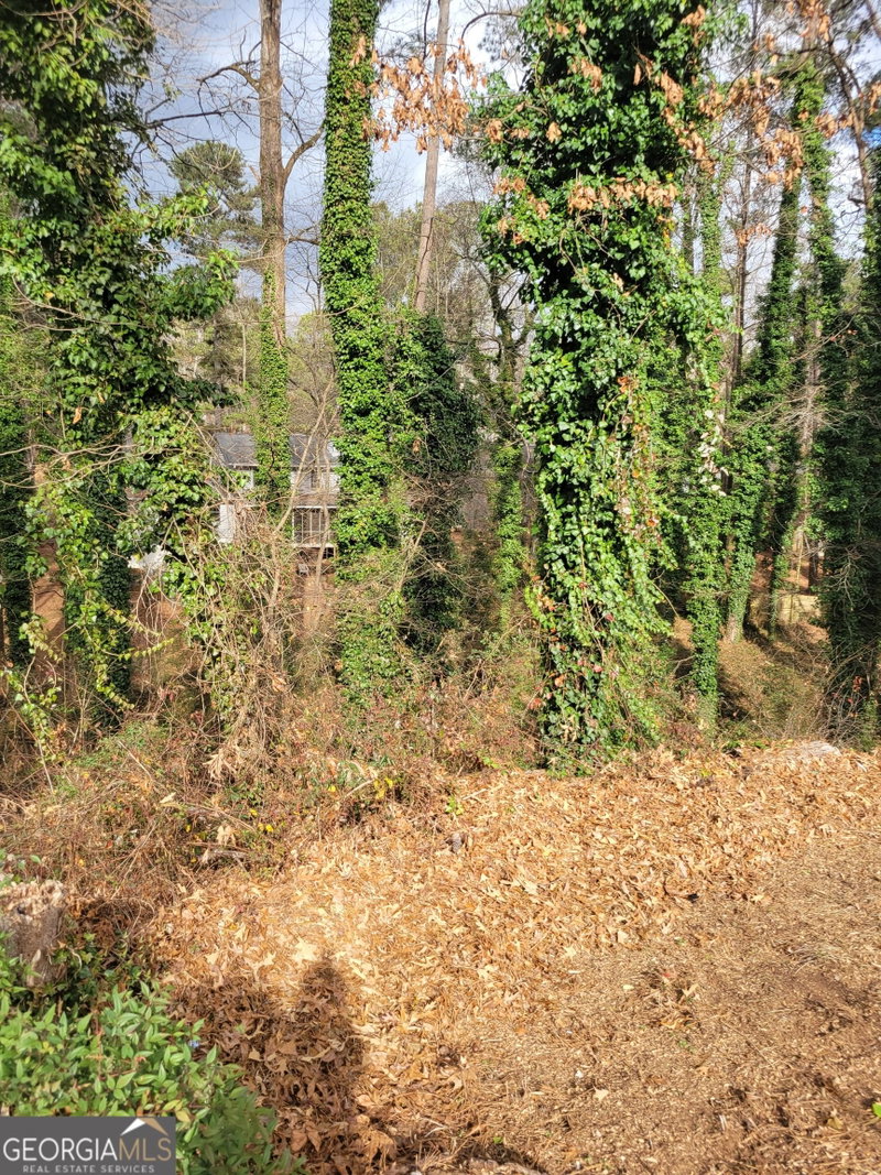 Photo 3 of 21 Saratoga Drive