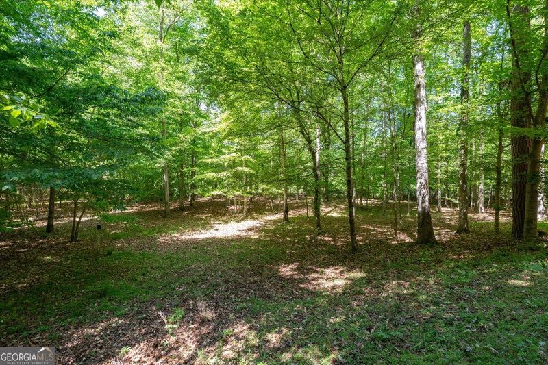 Photo 50 of 218 N Ole Hickory Trail