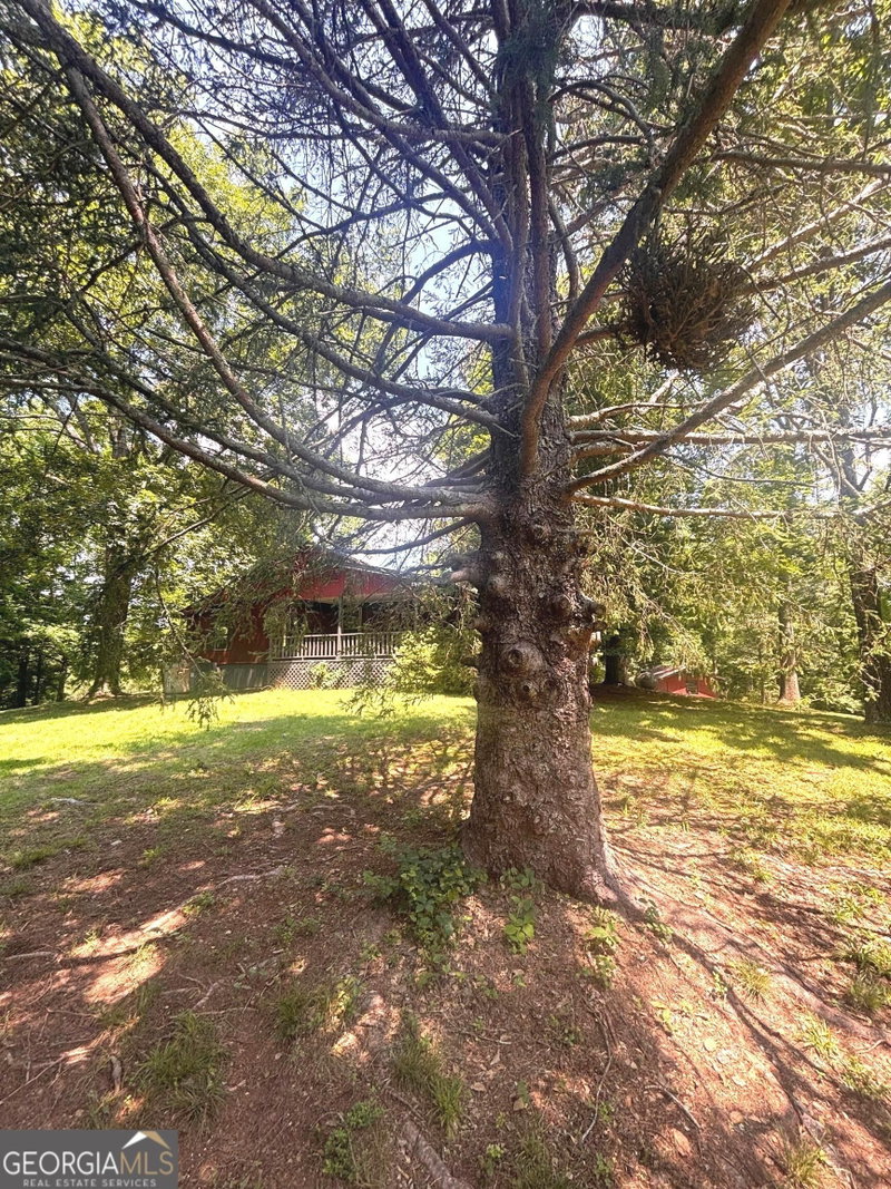 Photo 13 of 114 Addington Lane #LOT #5